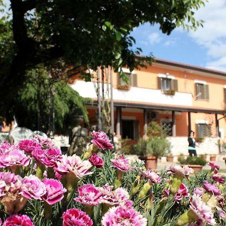 B&B Casale Shanti Piedimonte San Germano Zewnętrze zdjęcie